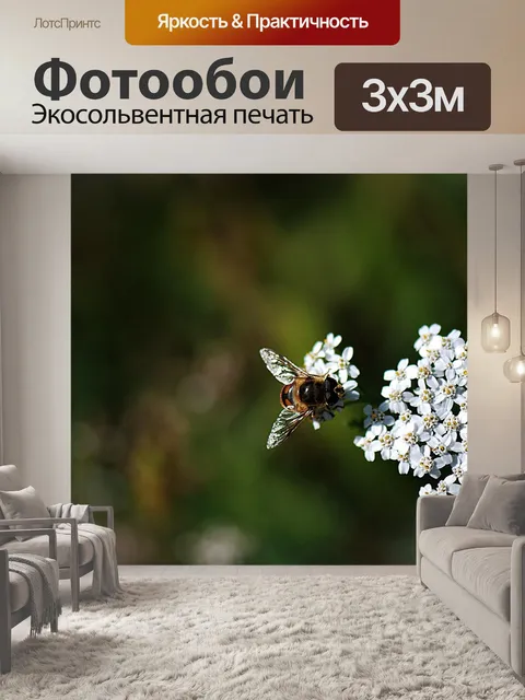 Фотообои Насекомое
