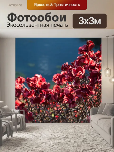 Фотообои Почтить память жертв, красные маки