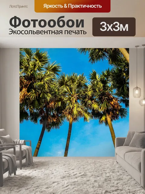 Фотообои Сахарная пальма