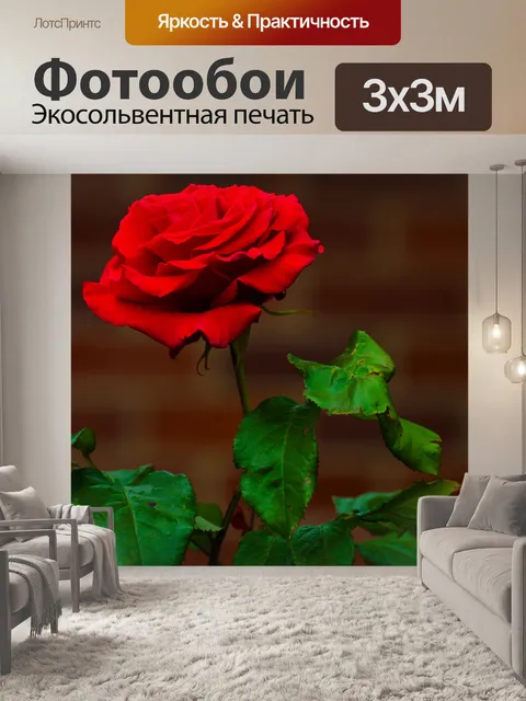 Фотообои Цветок