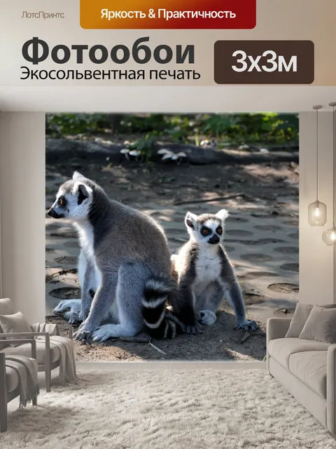 Фотообои Кошачий лемур 12