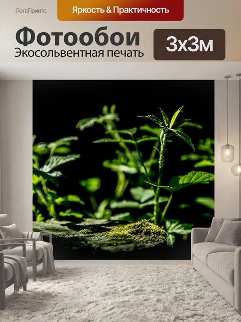 Фотообои Зеленые листья