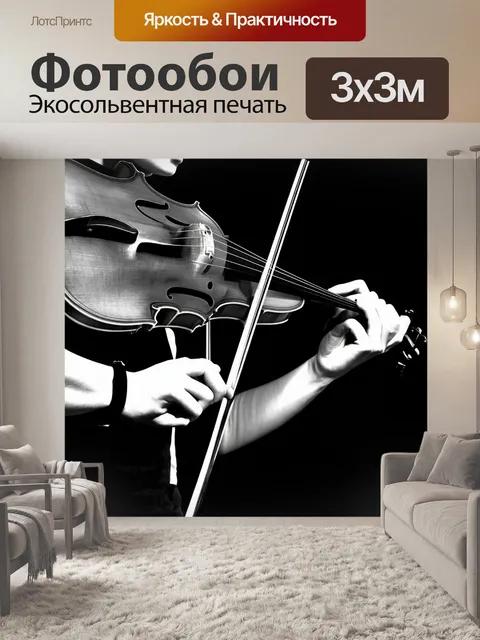 Фотообои винтажная черно-белая фотография игры на скрипке