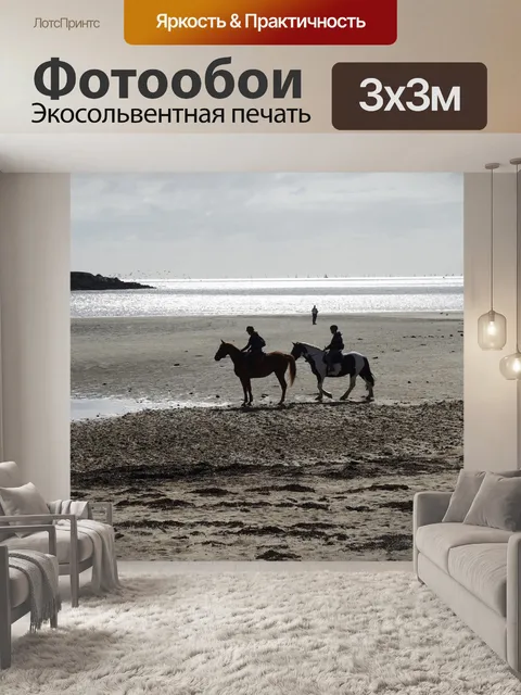Фотообои Лошади