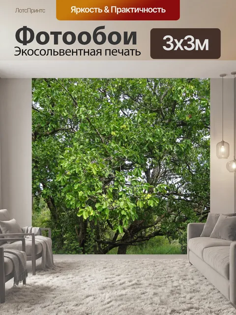 Фотообои зеленые листья на ветвях дерева