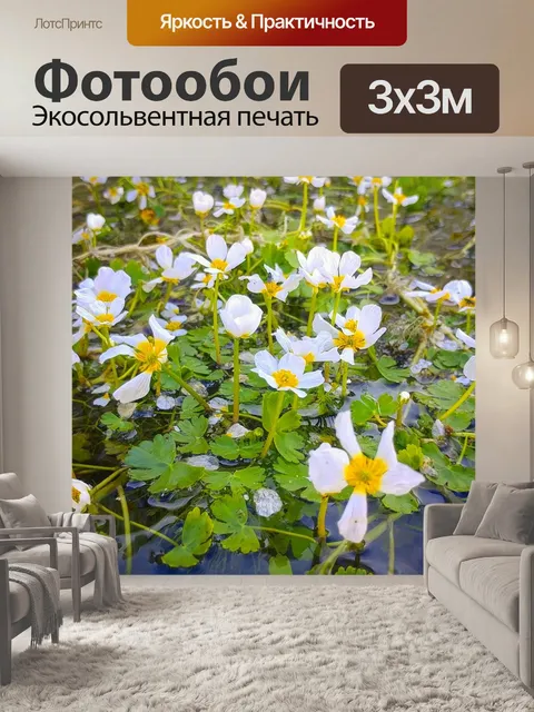 Фотообои Цветы