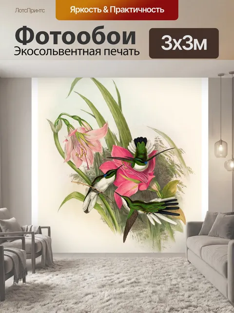 Фотообои Колибри птица винтаж старый
