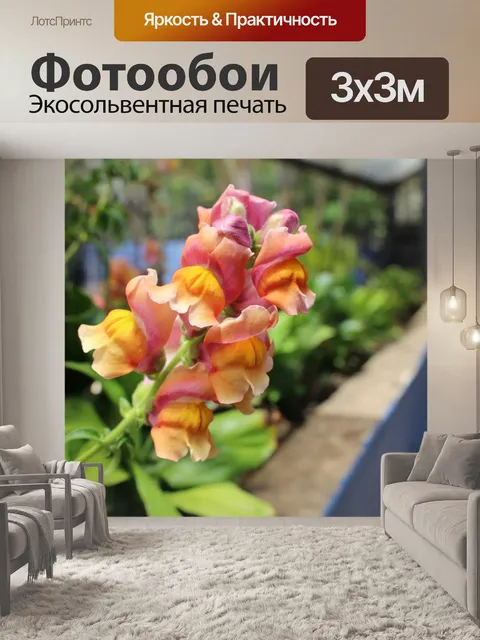 Фотообои Цветок