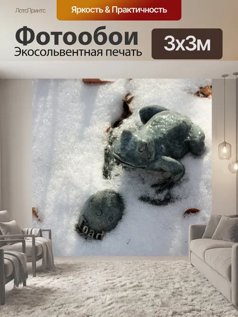 Фотообои Жаба в снегу