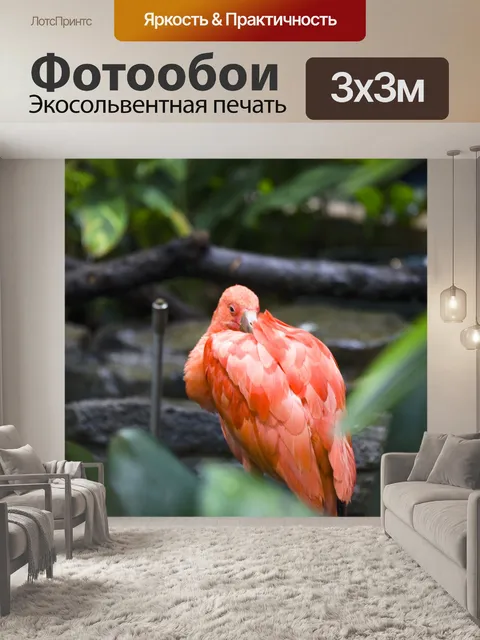 Фотообои Scarlet Ibis