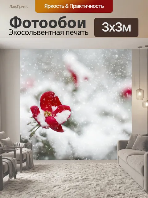Фотообои Красная роза