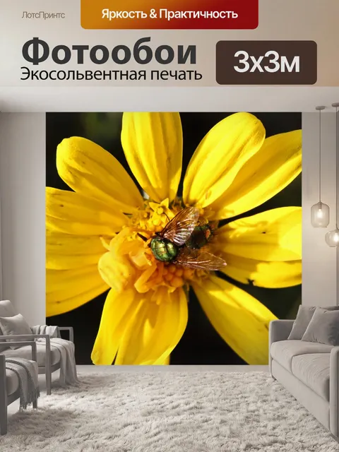 Фотообои синяя муха в объятиях паука
