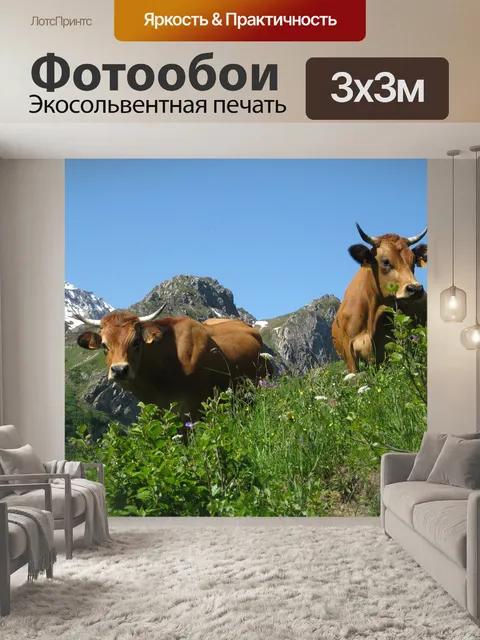 Фотообои Коровы