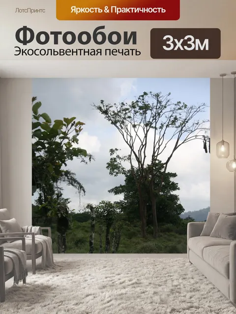 Фотообои Коста-Рика Птичье гнездо