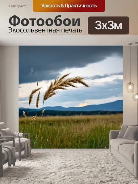Фотообои трава, колышущаяся на сильном ветру, с далекими горами на заднем плане под драматичным небом