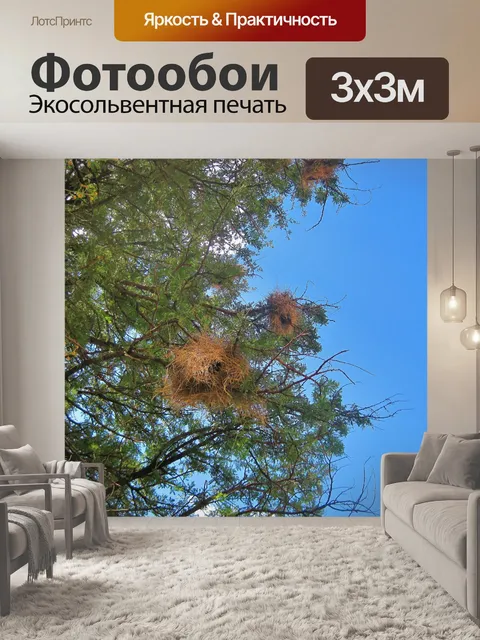 Фотообои гнезда птицы в дерево