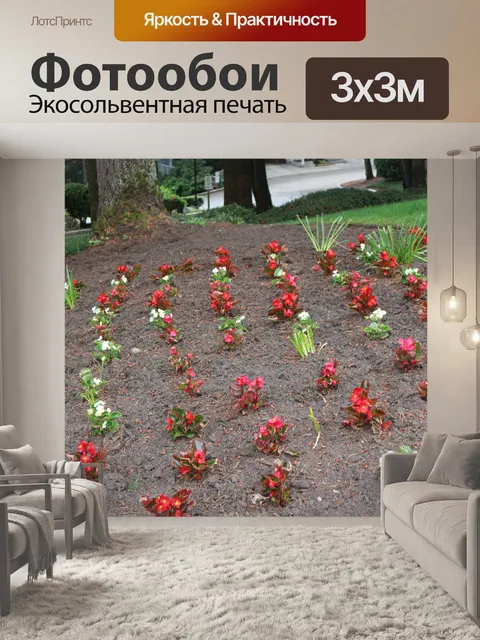 Фотообои красные цветы 2