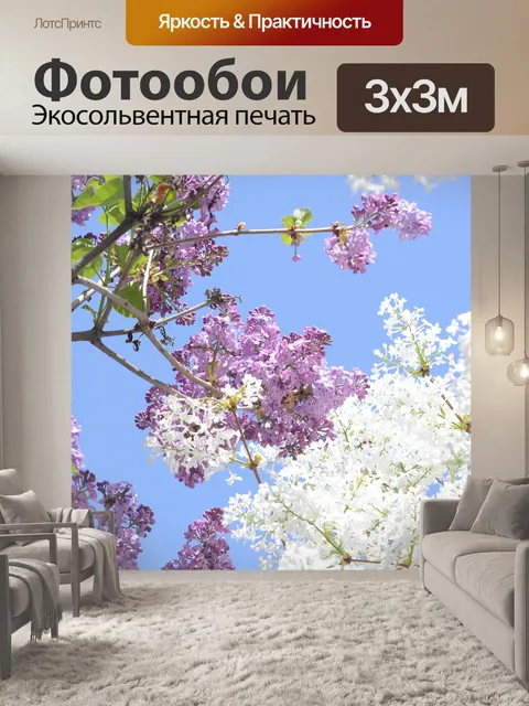 Фотообои Фиолетовый
