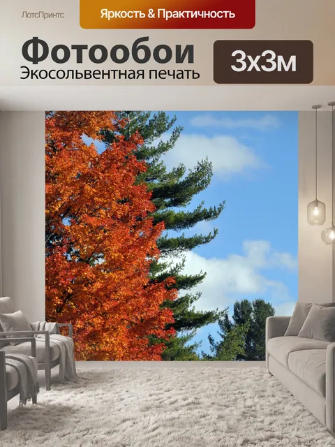 Фотообои Солнечный осенний небо