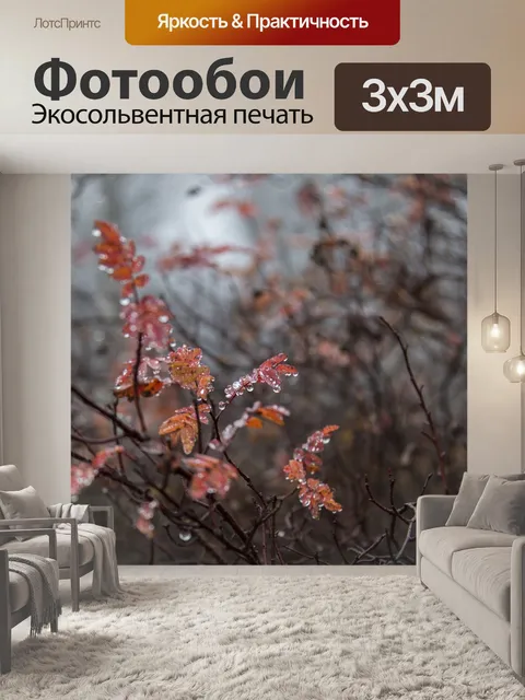 Фотообои Роса