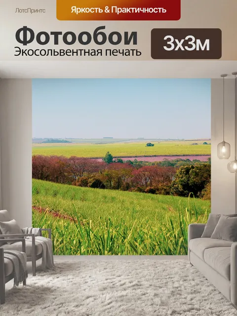 Фотообои Трава