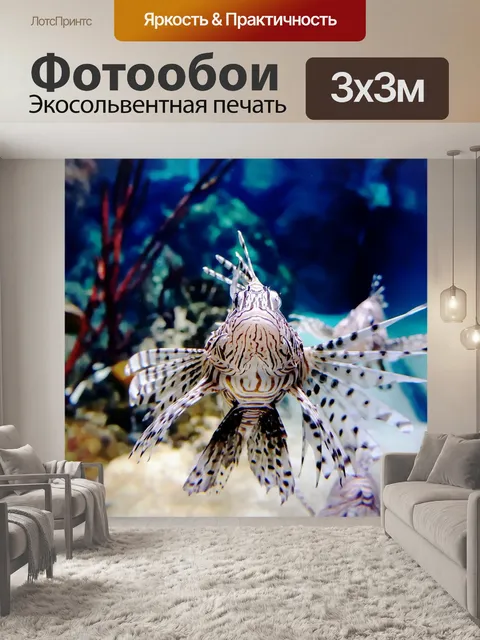 Фотообои Рыбы