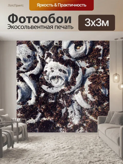 Фотообои Розы