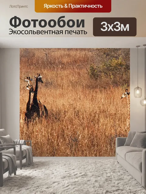 Фотообои группа из четырех жирафов в траве