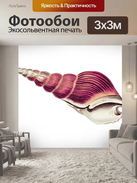 Фотообои Раковина улитка винтажное искусство