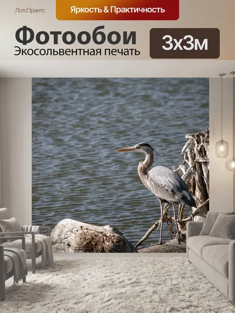 Фотообои Голубая цапля