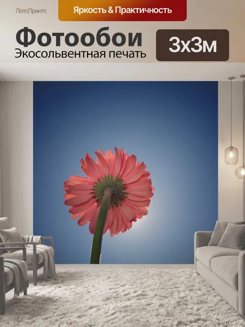 Фотообои Цветок