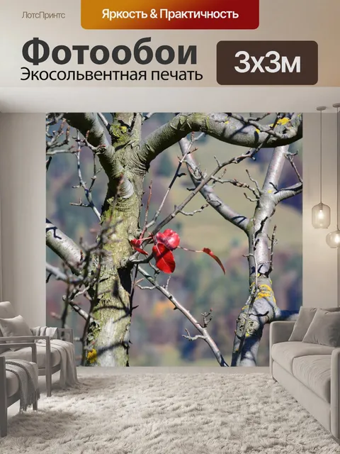 Фотообои Дерево
