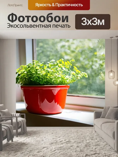 Фотообои красный керамический горшок с зелеными растениями на окне, освещённом солнечными лучами