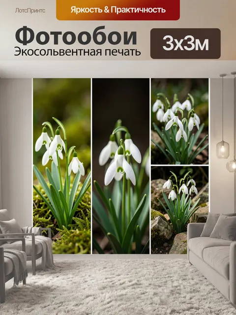 Фотообои Белые подснежники в лесу