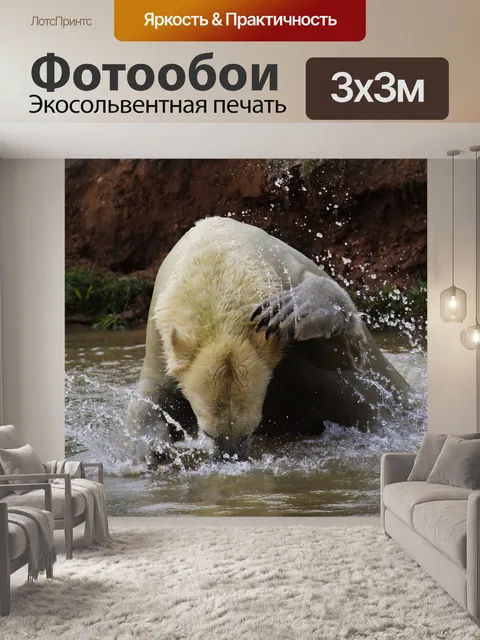 Фотообои Полярный медведь