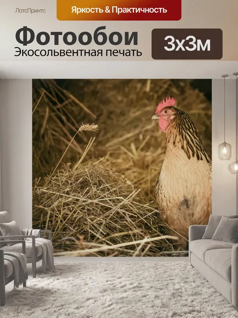 Фотообои Цыпленок на ферме