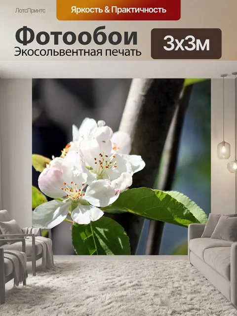 Фотообои Apple Blossoms