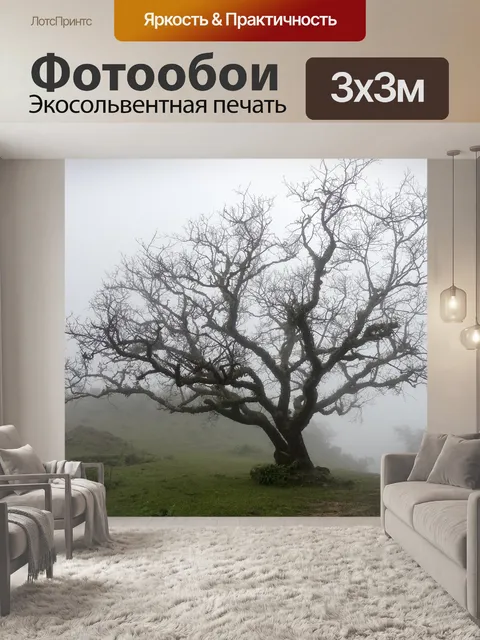 Фотообои Голое дерево