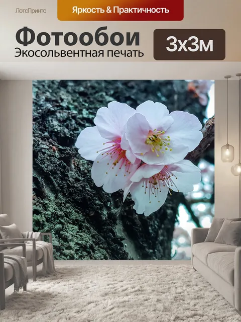 Фотообои Вишня в цвету