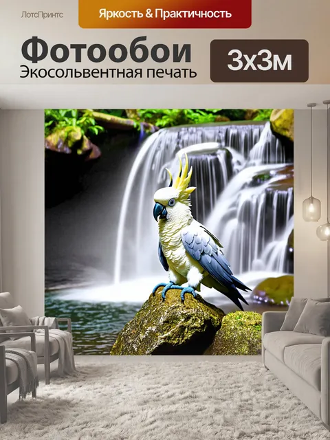 Фотообои корелла, сидящая на камне у водопада, где брызги воды создают радугу в воздухе