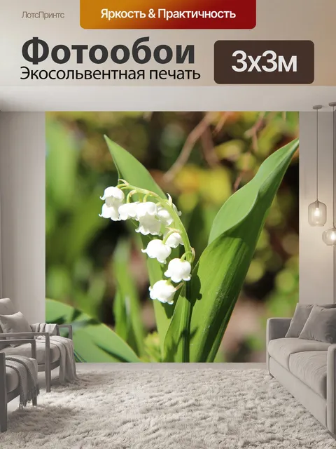 Фотообои Ландыш