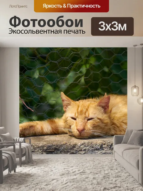Фотообои Кошка