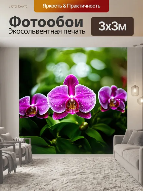 Фотообои в самом центре композиции ярко раскрывшаяся орхидея
