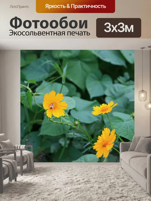 Фотообои мед пчела на желтый ромашки