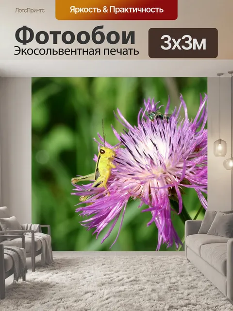 Фотообои Желтый кузнечик на полевом поле