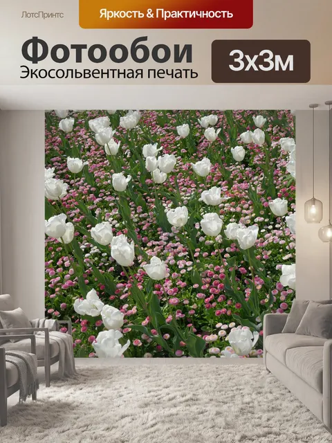 Фотообои Белые тюльпаны