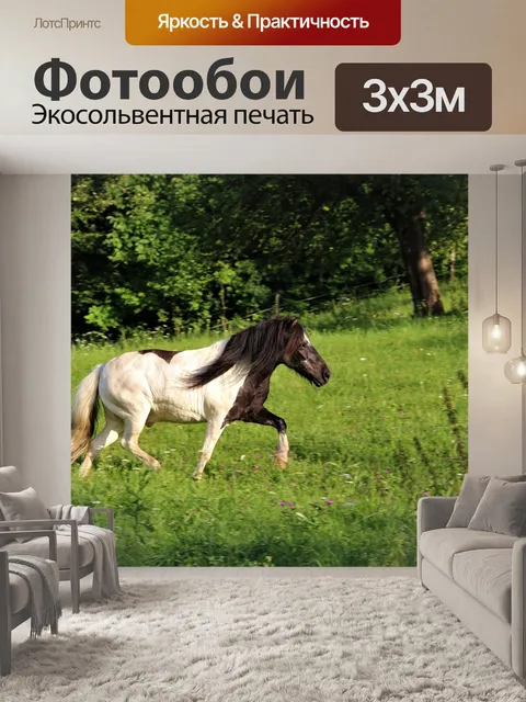 Фотообои Пони