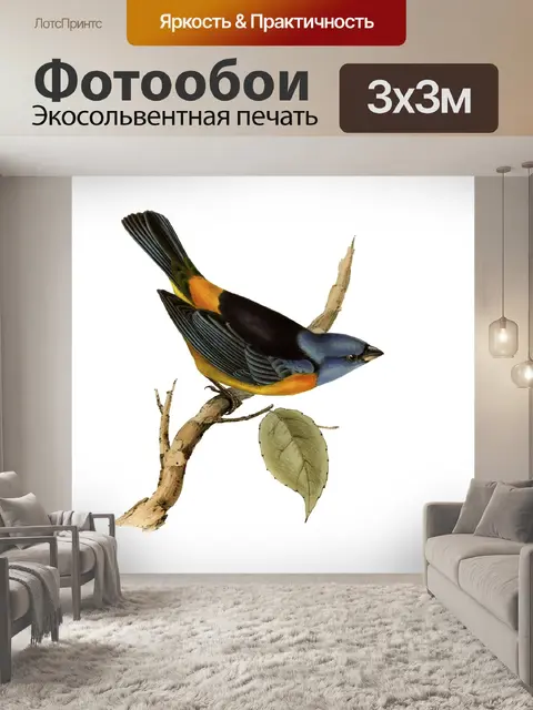 Фотообои Винтаж Тропическое Искусство Птицы