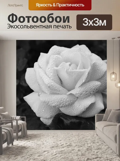 Фотообои White
