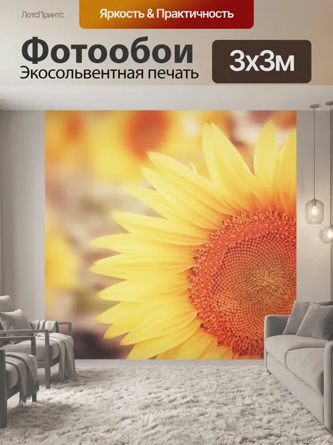 Фотообои Подсолнух осенью цвести цветок